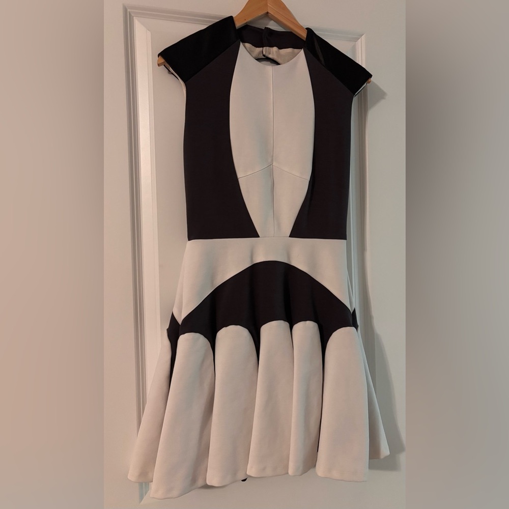 Chic Monochrome Mini Dress